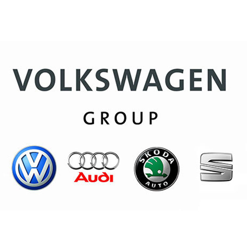 VW Grubu